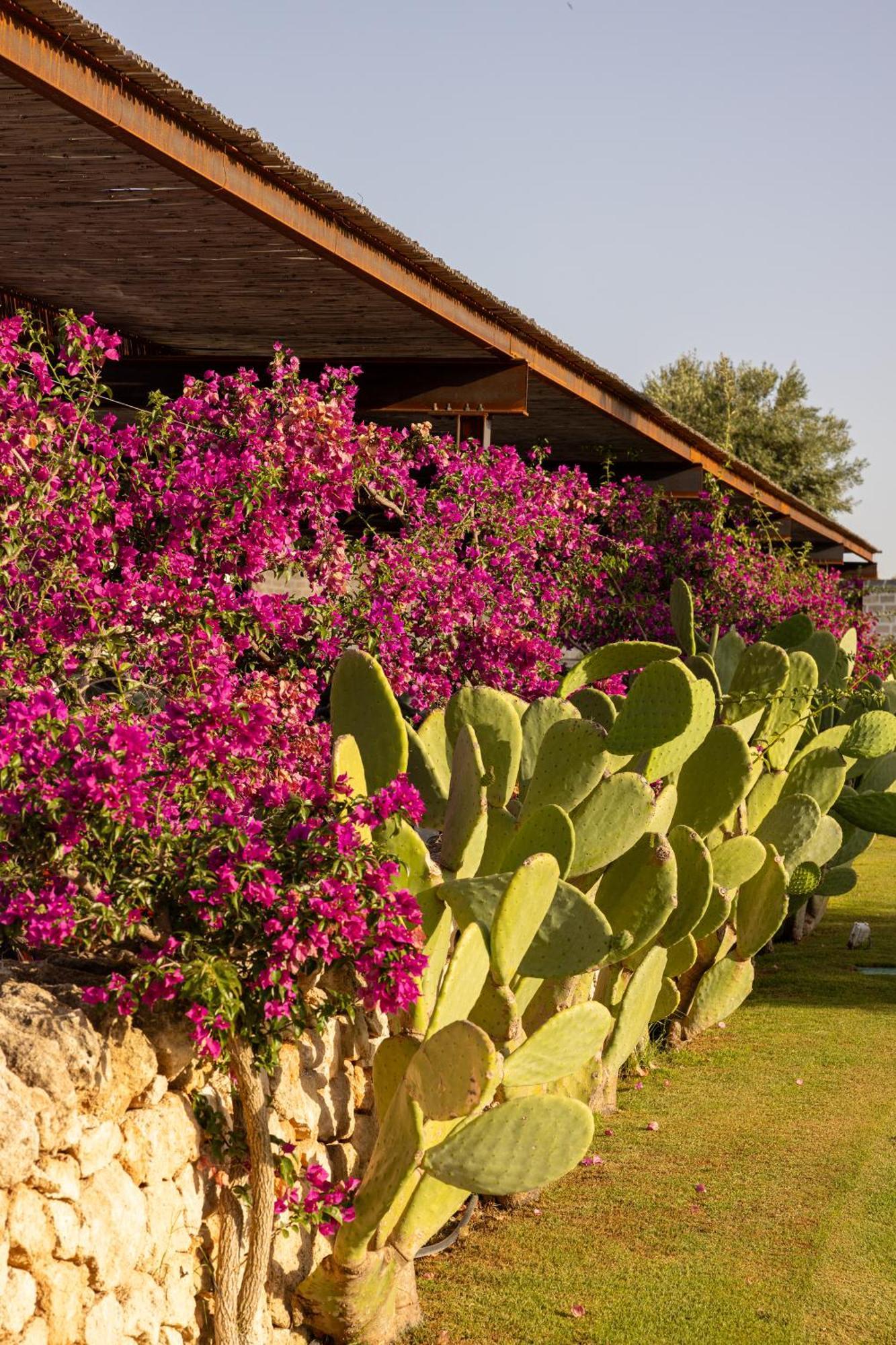Masseria San Francesco Savelletri Exterior photo